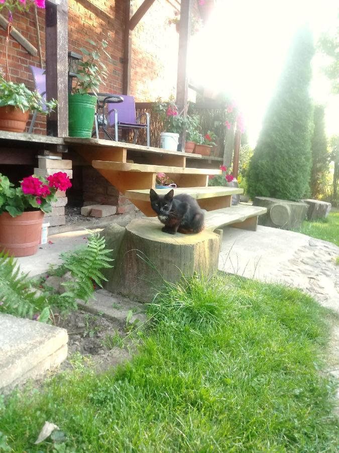 Sloneczna Weranda Bed & Breakfast Wydminy Luaran gambar